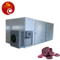 Plum Automatic Hot Air Drying Machine